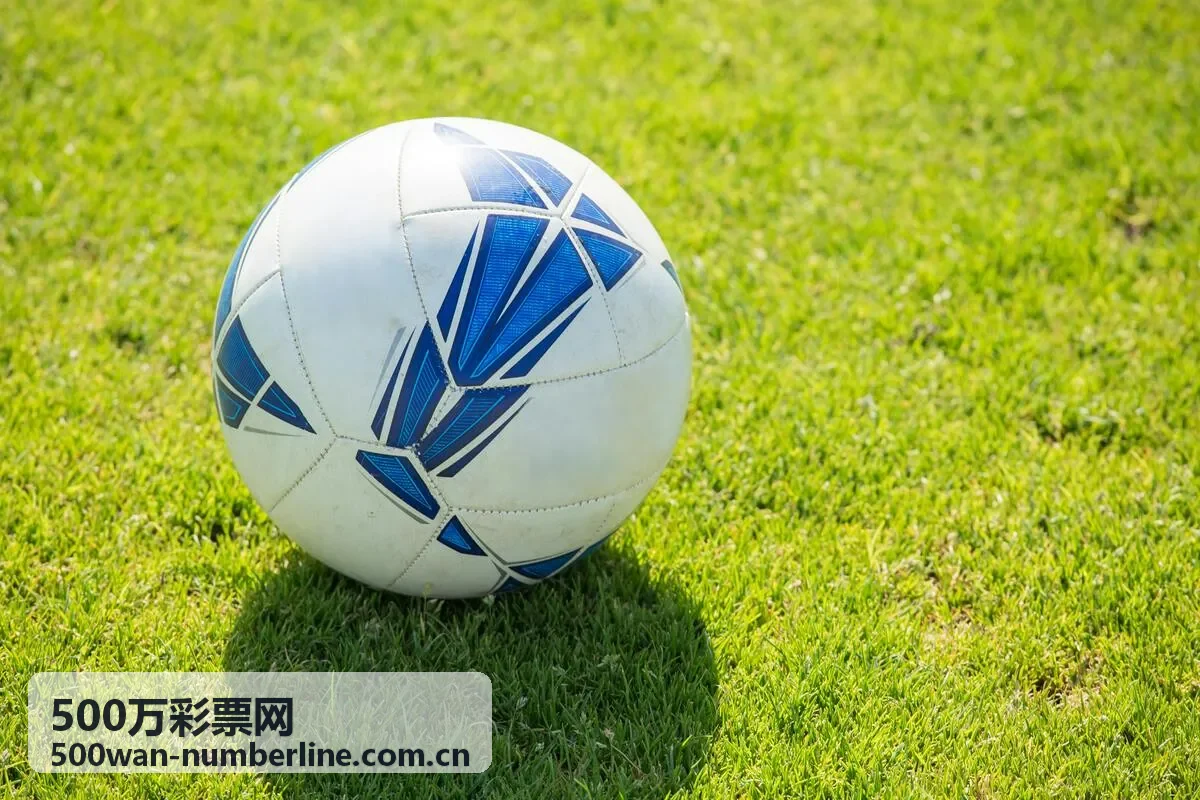 500万彩票网开奖结果核对指南